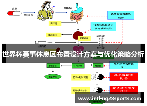 世界杯赛事休息区布置设计方案与优化策略分析