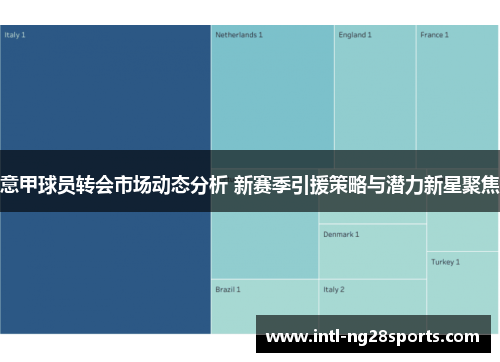 意甲球员转会市场动态分析 新赛季引援策略与潜力新星聚焦