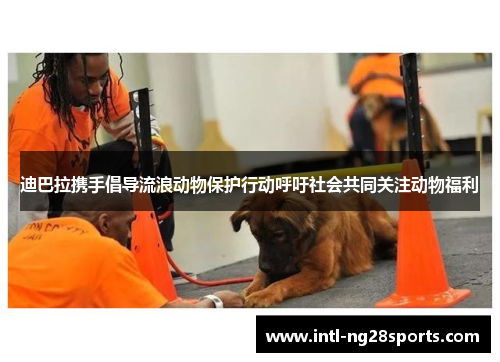 迪巴拉携手倡导流浪动物保护行动呼吁社会共同关注动物福利