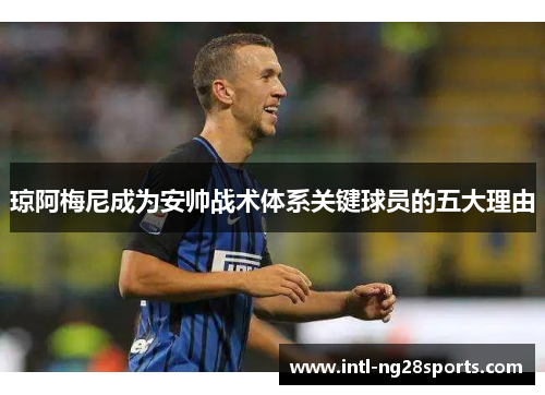 琼阿梅尼成为安帅战术体系关键球员的五大理由