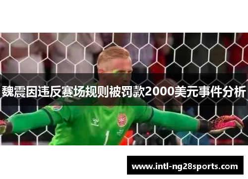 魏震因违反赛场规则被罚款2000美元事件分析