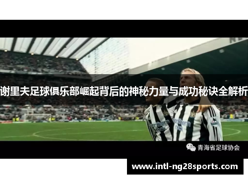 谢里夫足球俱乐部崛起背后的神秘力量与成功秘诀全解析 谢里夫足球俱乐部崛起背后的神秘力量与成功秘诀全解析