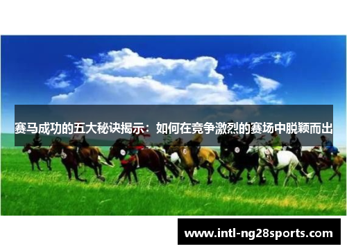 赛马成功的五大秘诀揭示:如何在竞争激烈的赛场中脱颖而出 赛马成功的五大秘诀揭示:如何在竞争激烈的赛场中脱颖而出